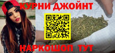 прущие грибы Моздок