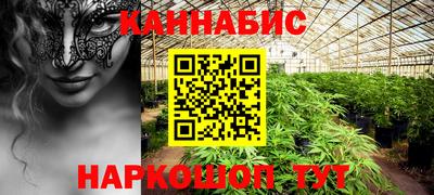 прущие грибы Моздок