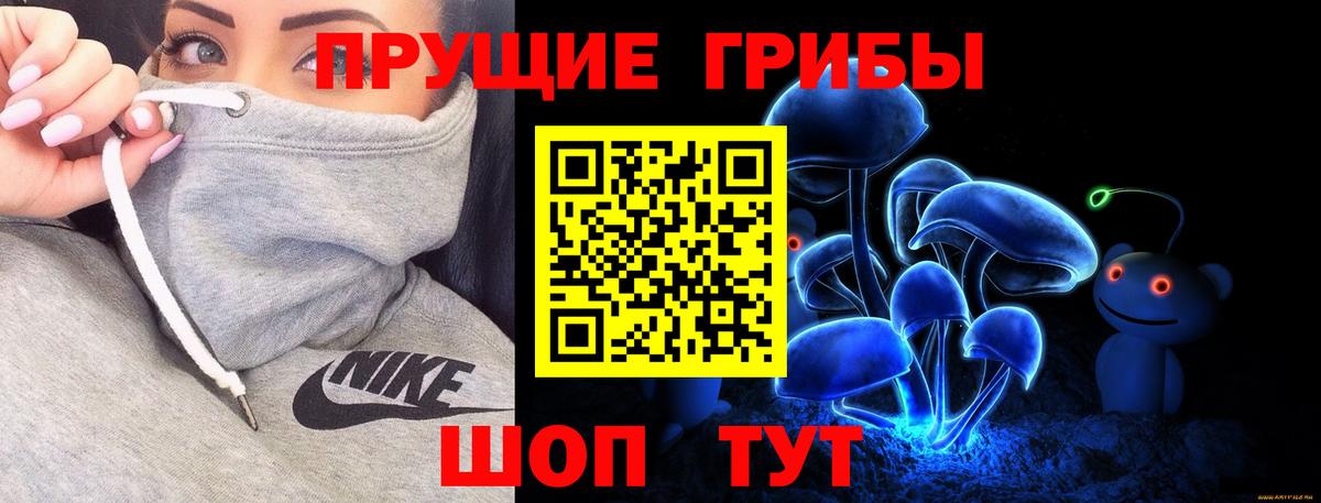 Галлюциногенные грибы мицелий  Вход с VPN  Галлюциногенные грибы Psilocybe  Урай 